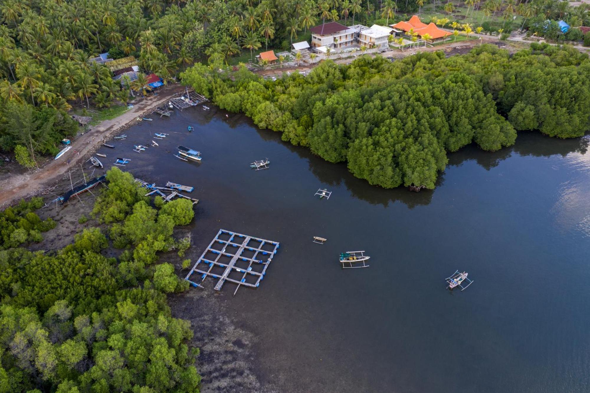 Mangroove Bay Boutique Hostel Banyuwedang Dış mekan fotoğraf